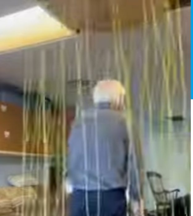 My Immobi Non-lethal immobilizer