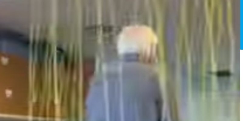 My Immobi Non-lethal immobilizer